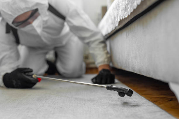 Professional Bed Bug Control technician working in Cleveland, FL