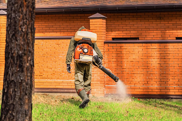 Trusted Rodent Control service in Cleveland, FL - Nex Pest Control